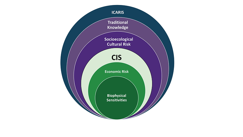 ICARIS - Venn Diagram Again (002).png