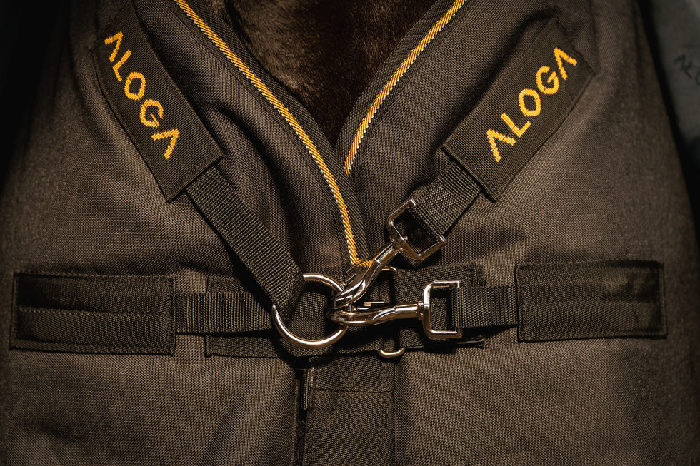 Nils shoot 3 - WEB-42.jpg