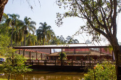 foto Eduardo Medrano (10017)