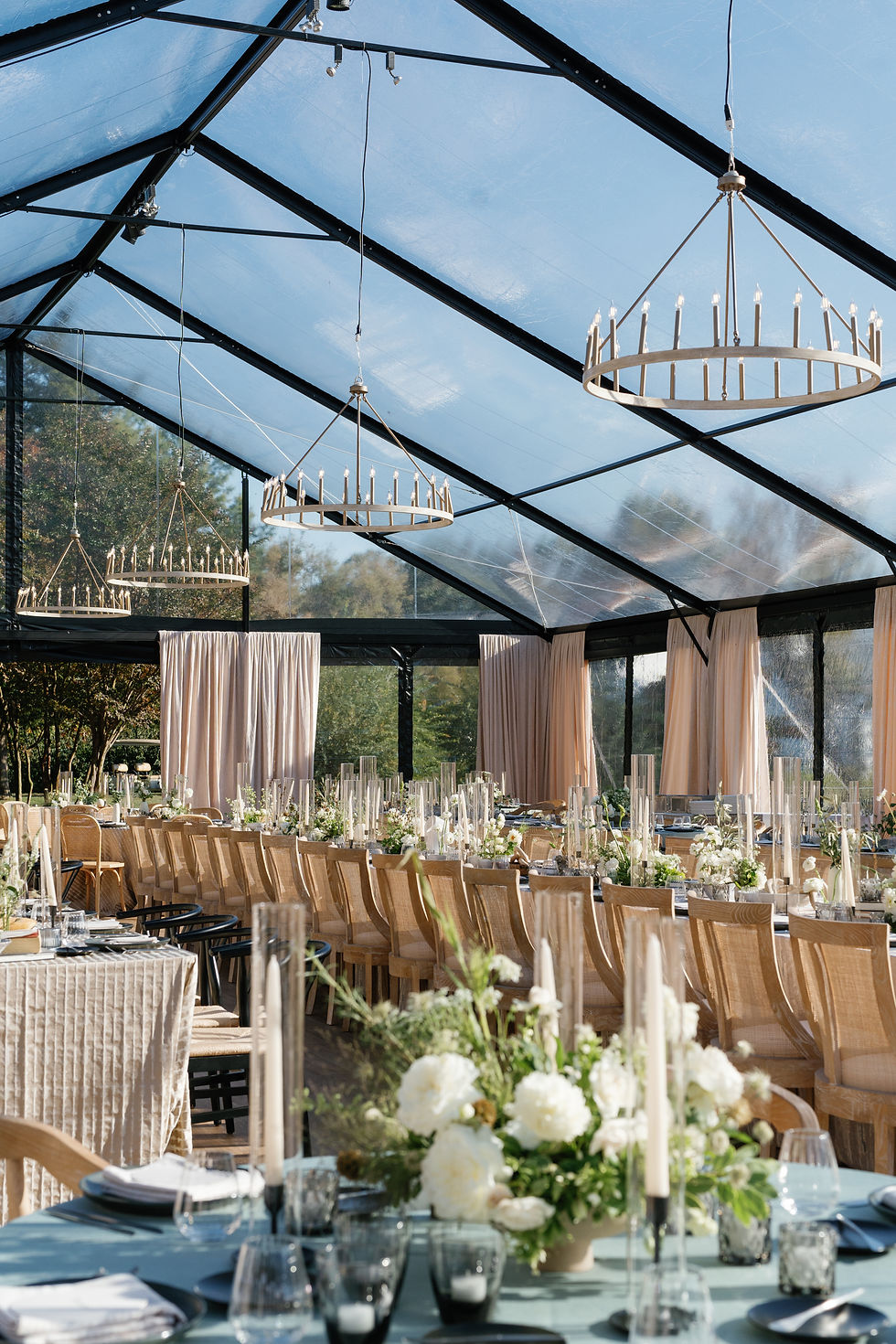 50' Black Navi Clear Top