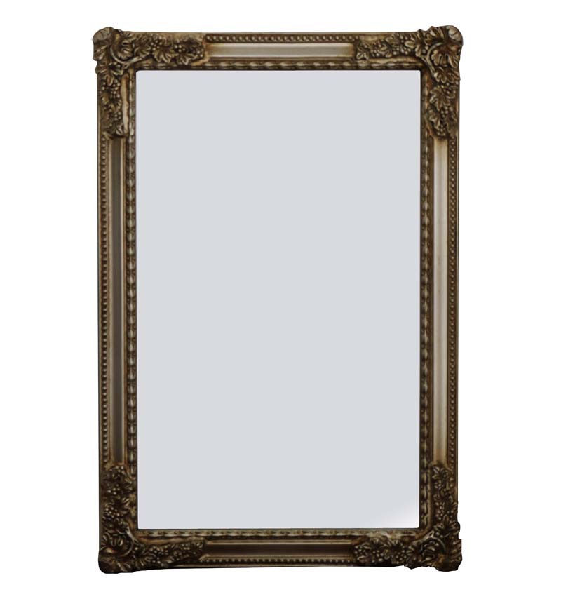 Champagne French Style Panel Mirror 90x60cm
