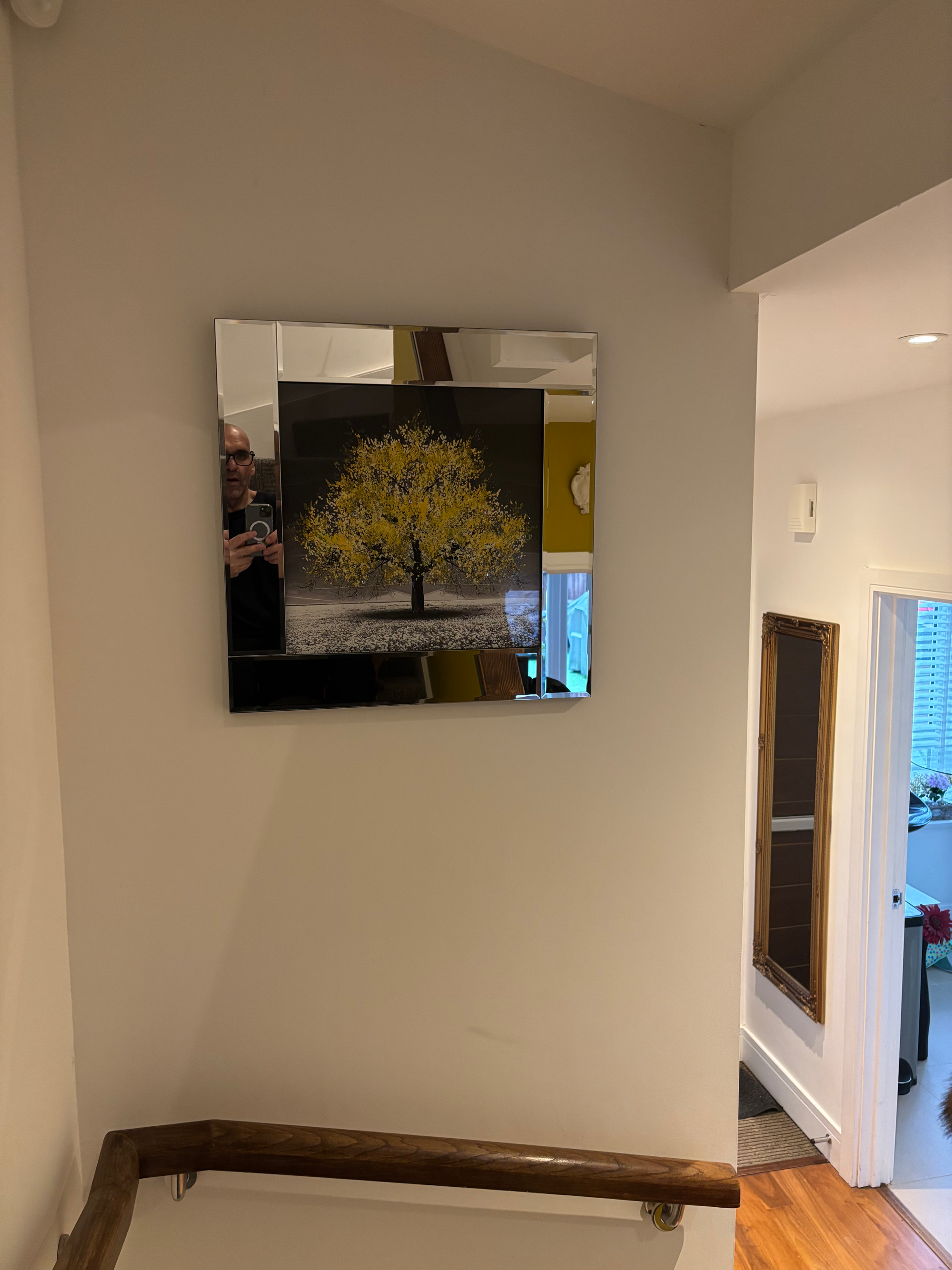 Mustard tree 55x55 cms mirrored frame 