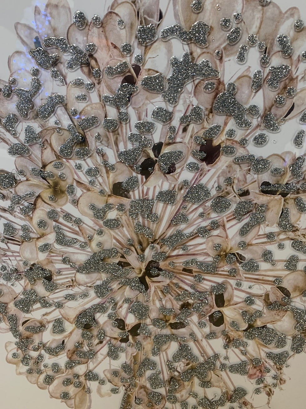 Thumbnail: Hydrangea on Mirrored Frame