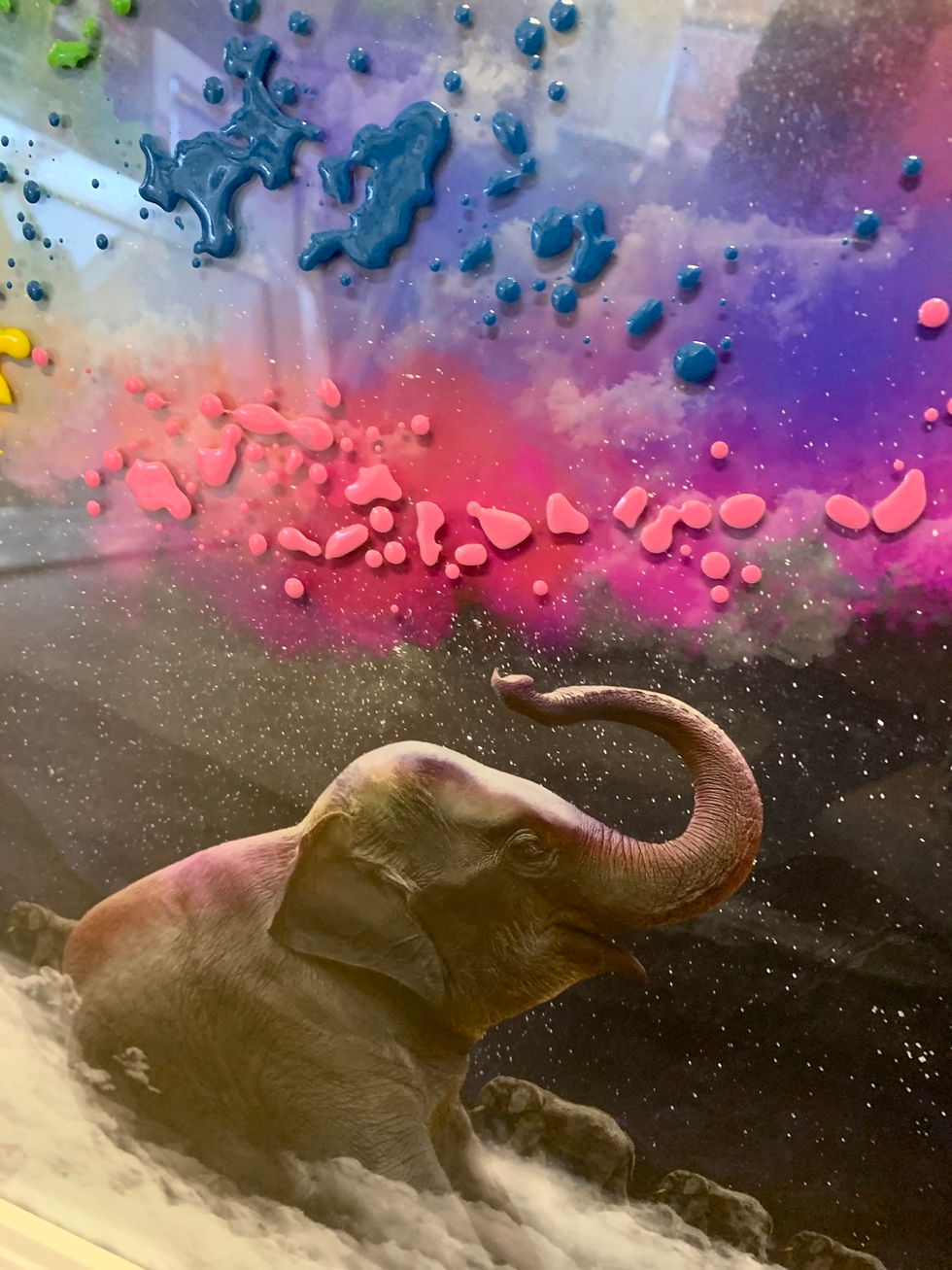 Thumbnail: Elephant Dreams 55x55cm