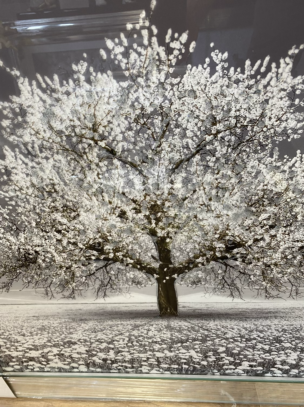 Thumbnail: Grey Cherry Tree on Mirrored Frame 90x90cm
