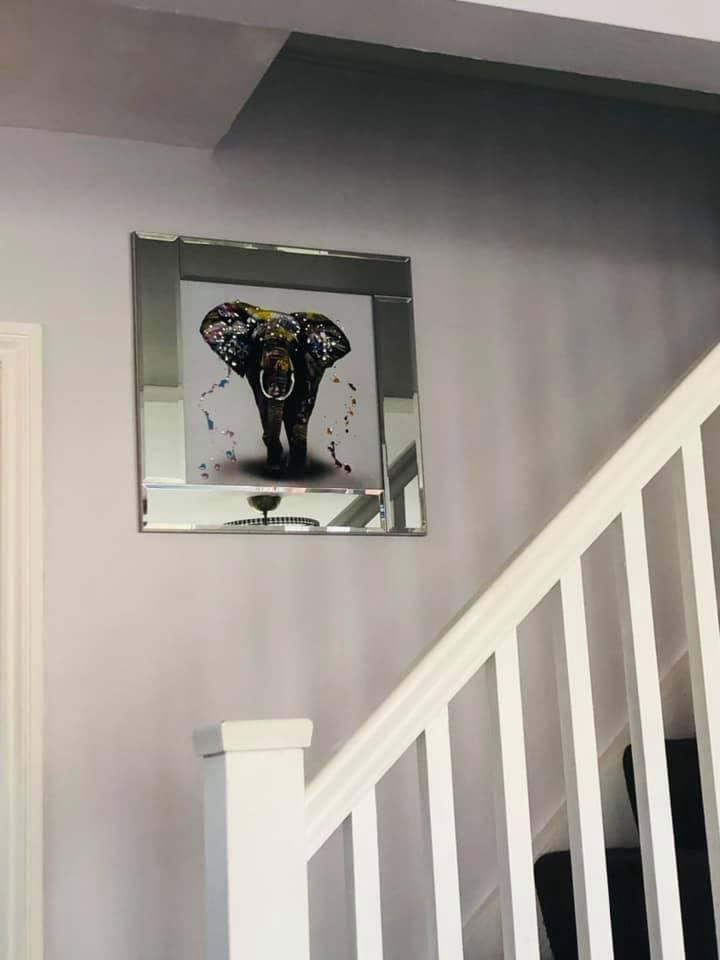 Stealth Elephant on Mirrored Frame 55x55cm