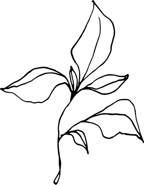 flower-09.png