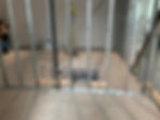 IMG_1693.JPEG