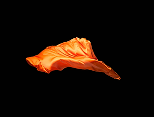 Untitled design (73).png