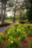 16 Springdale-0047.jpg