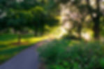 4 Virgilee_DSC2887-2.jpg