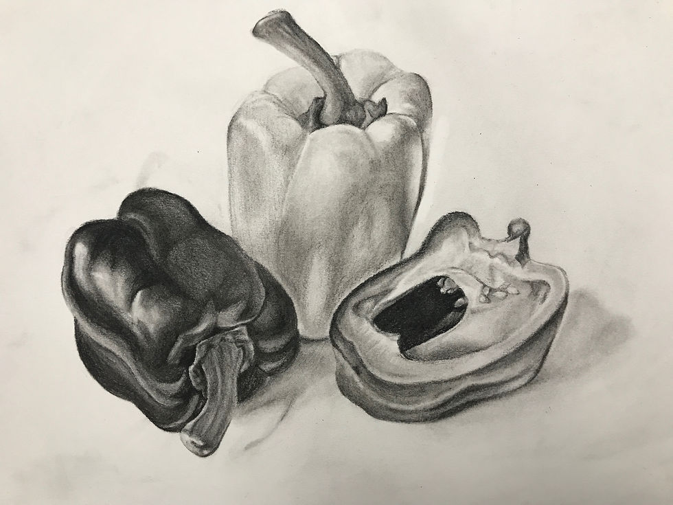 Microscopic Charcoal - THREE3