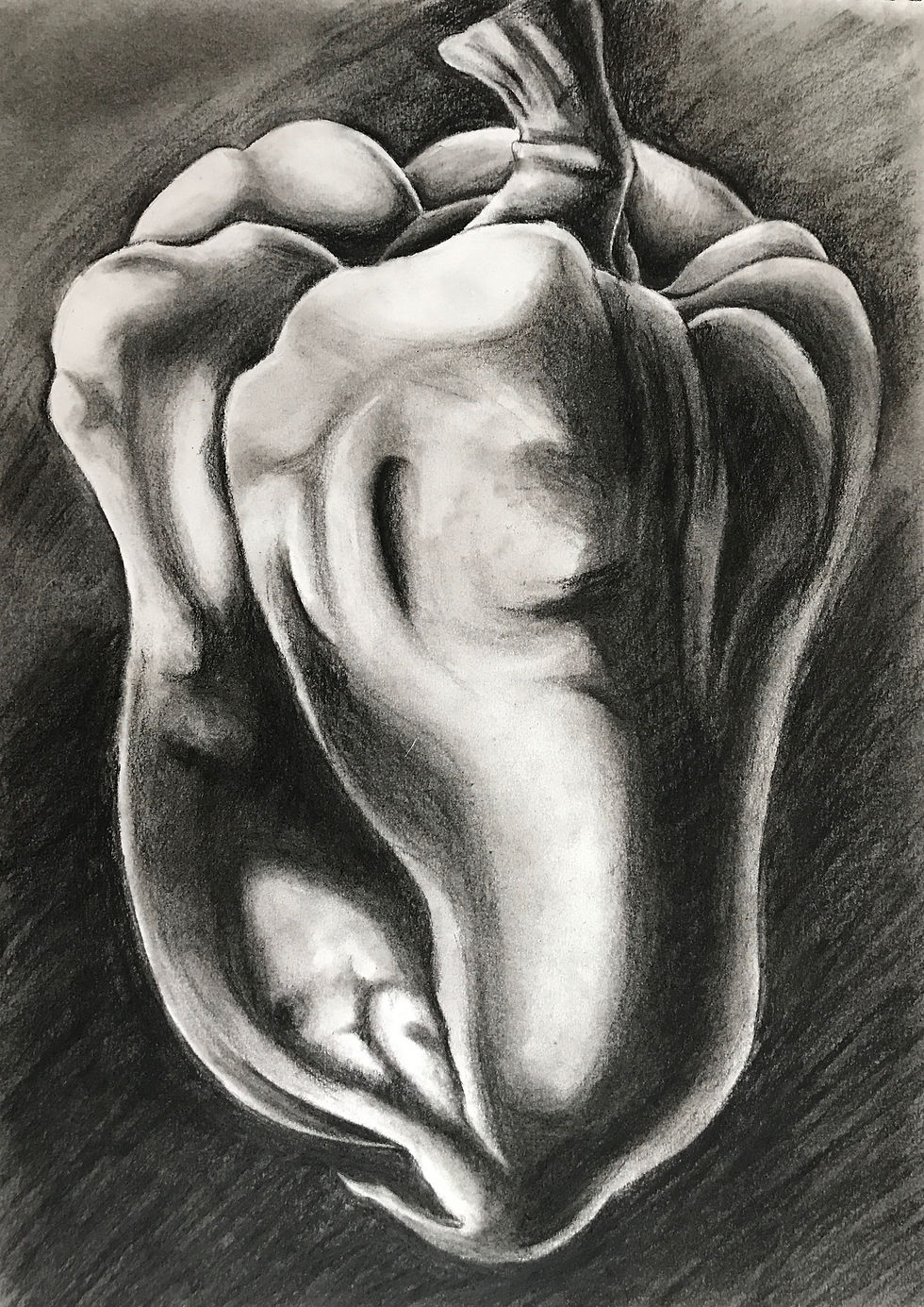 Microscopic Charcoal - BLACK
