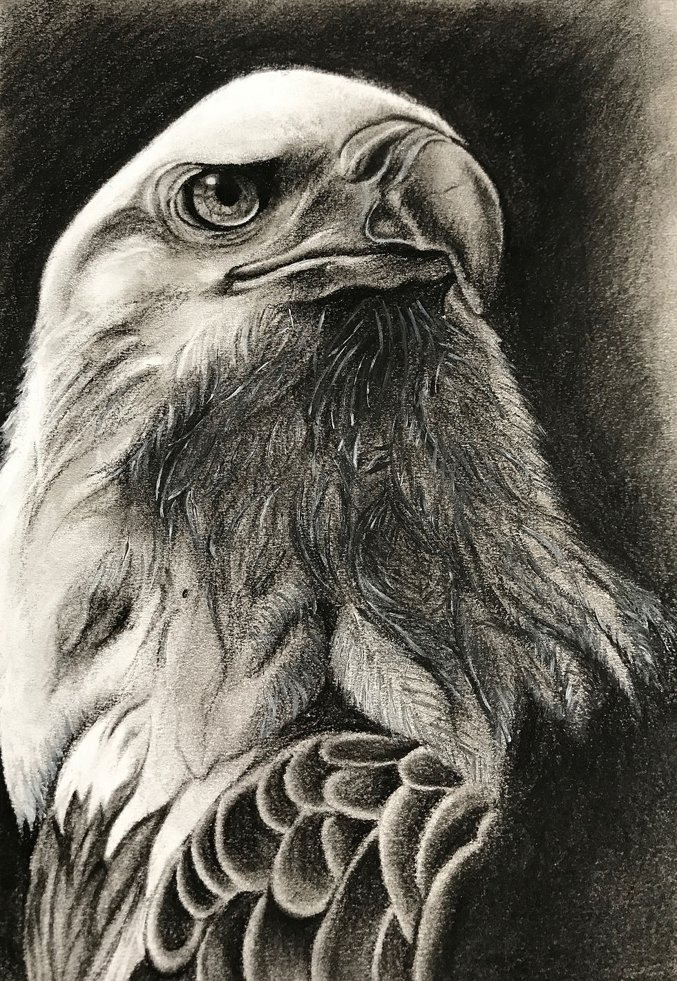 Microscopic Charcoal - EAGLE
