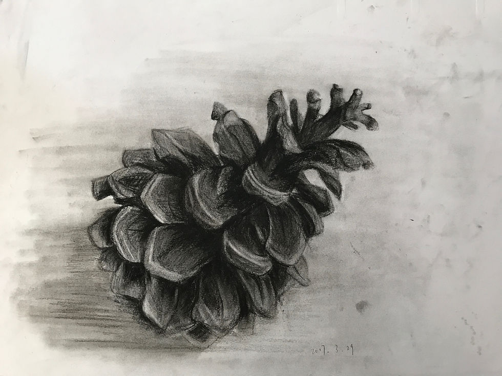Microscopic Charcoal - NUT