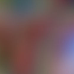 The Broken Ladder: When Automation Arrives Before the Demographic Dividend