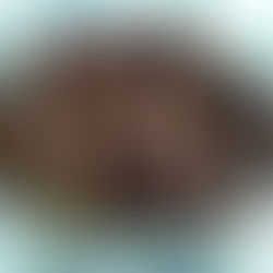 Σικωτάκι αρνίσιο… παραδοσιακής κυπριακής εκτέλεσης … όπως το θέλεις!

Στο μοναδικό τηγάνι Prodromos®