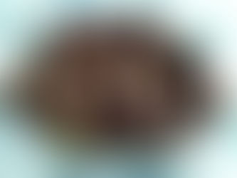 Σικωτάκι αρνίσιο… παραδοσιακής κυπριακής εκτέλεσης … όπως το θέλεις!
Στο μοναδικό τηγάνι Prodromos®