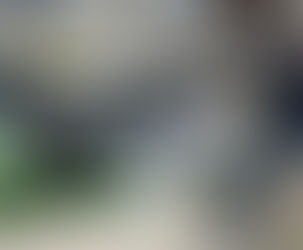 **Ανακαλύψτε τις Νέες Γραδέλες Prodromos® HORECA για Τέλειο Ψήσιμο 🔥