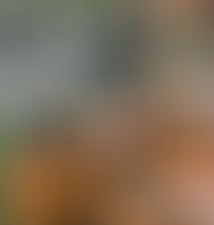 «3 σε 1 μαχαίρι» – εξειδικευμένο για κοπή, ψιλόκομμα & φιλετάρισμα. Χάρη στη φαρδιά, κοφτερή του λεπίδα, λειτουργεί σαν μικρό μπαλτάκι, σηκώνεται και πέφτει με ακρίβεια