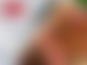 Γιατί τα επαγγελματικά μαχαίρια Marietti είναι απαραίτητα για HORECA