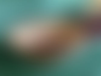 NEW!! Prodromos*HORECA! Καλάθια ψωμιού ψάθινα Πλεκτά !