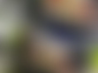 NEW!! Prodromos* Horeca! Επιτραπέζιες επαγγελματικές εστίες υγραερίου .