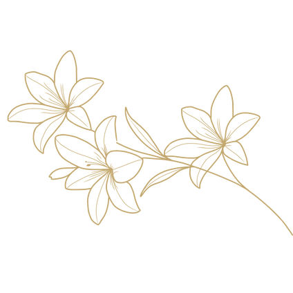 Design sans titre-9.png