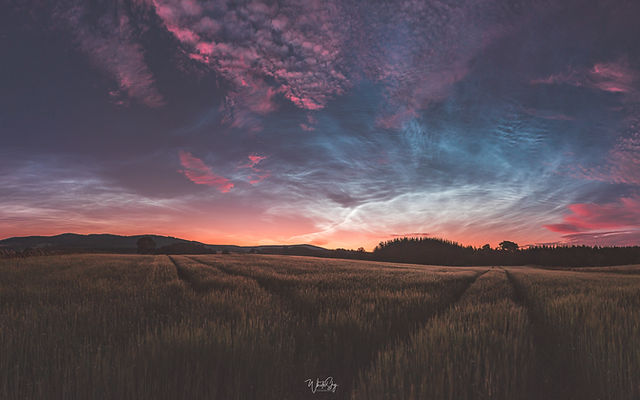 whitesky photographics