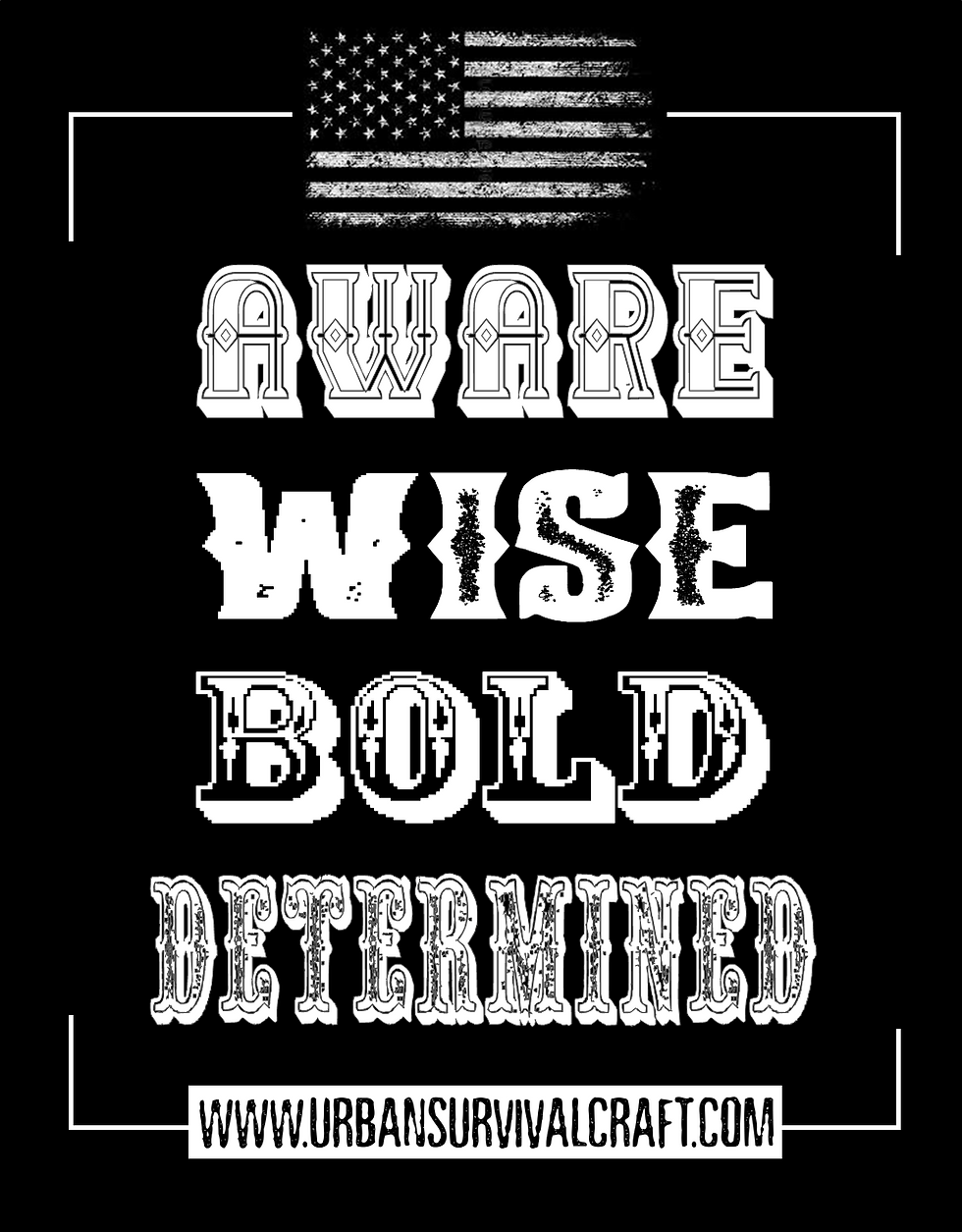 Thumbnail: T-Shirt (AWBD)