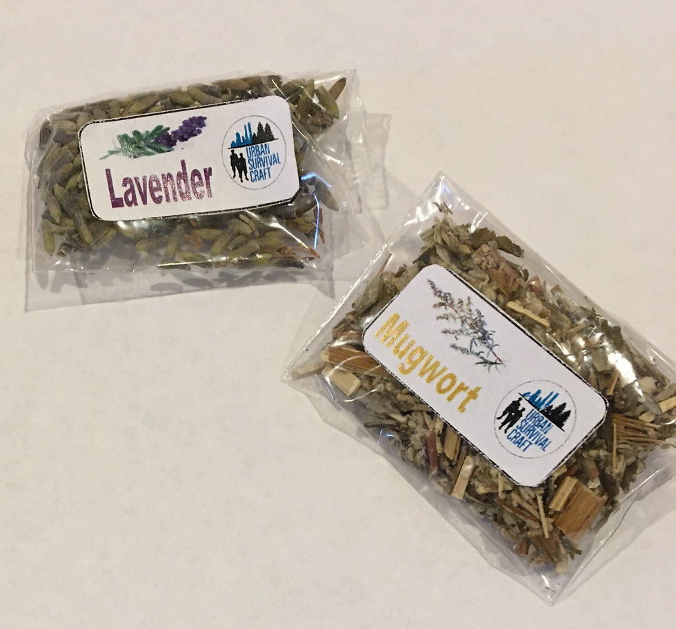 Thumbnail: Plant Based First Aid KIt