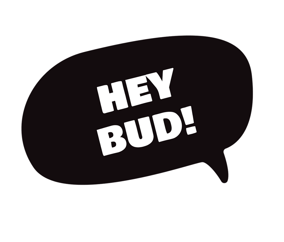 Hey Bud!