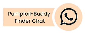 Pumpfoil-Buddy Finder Chat.png