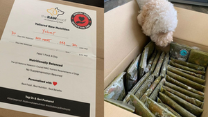 11 Local Online Stores to Purchase Premium Cooked and Raw Dog Food