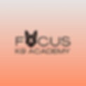F.O.C.U.S.png