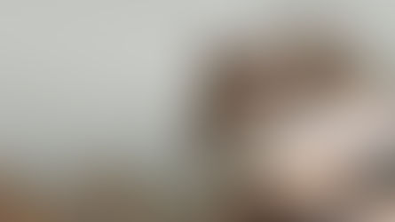 All about hamsters 🐹!