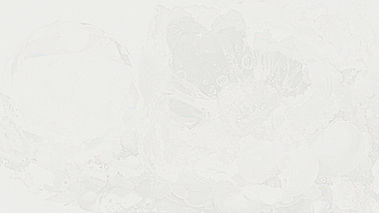 texture eggshell 02.jpg