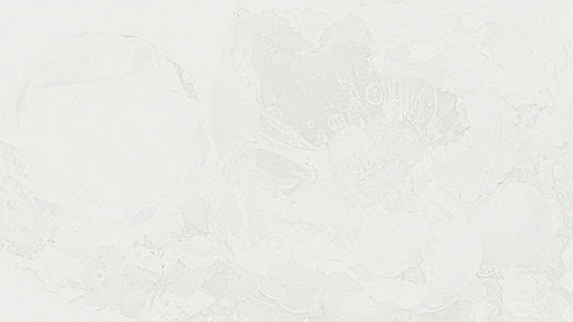 texture eggshell 02.jpg