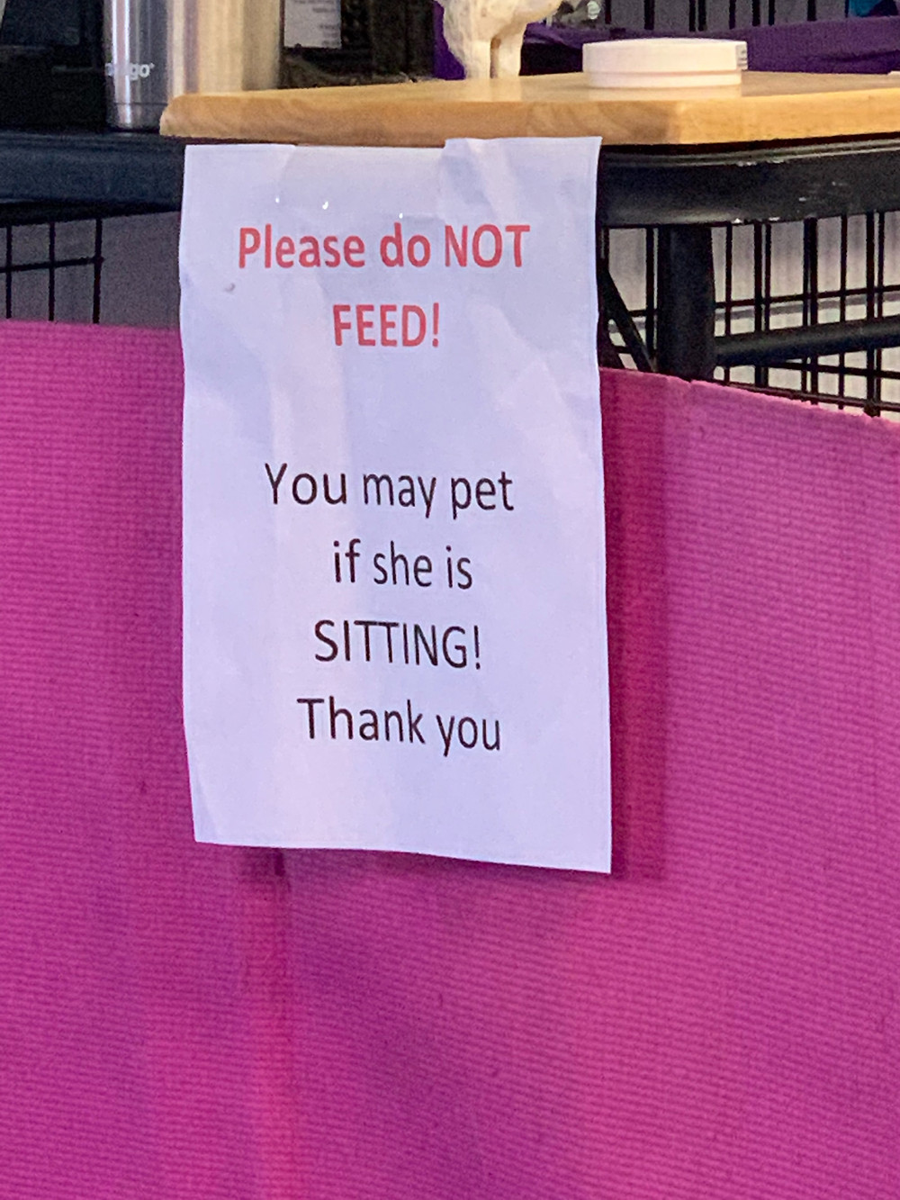 Sign on Alex's Pen.