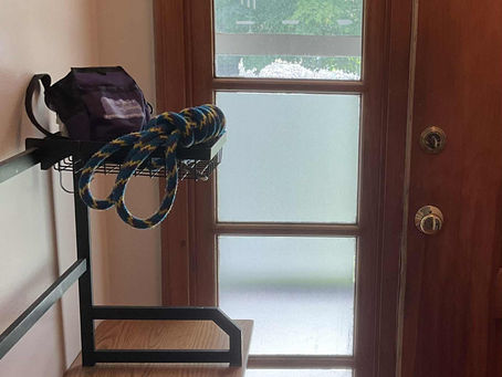 10 Useful Hacks for Fitting Service Dog Training into Your Day