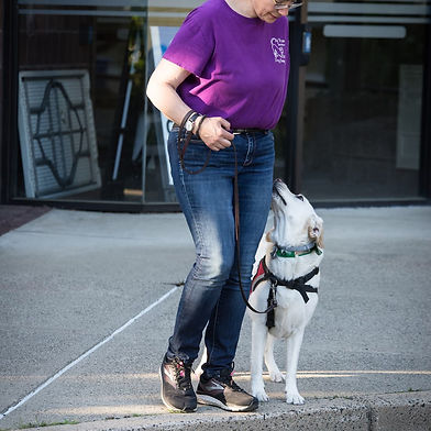 Sharon Wachsler, CPDT-KA KPA-CTP