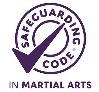 evolution karate safeguarding
