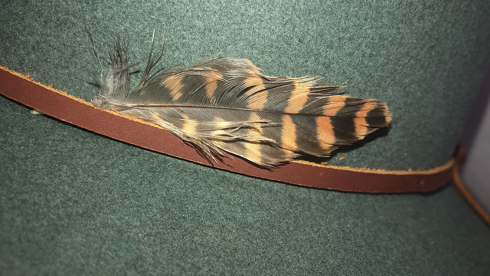 First Feather Left for Me in Peru. A good sign.