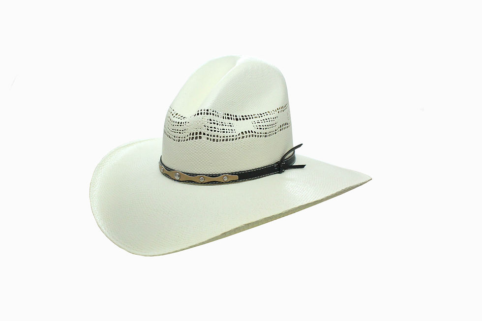 Taiwan 50X Robavacas