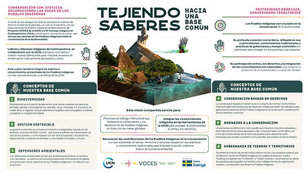 MOCKUP UICN ormacc_edited.png