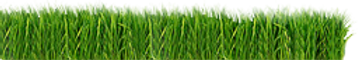 Grass Strip_edited.png
