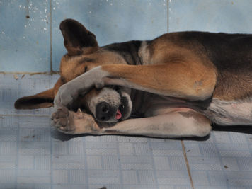 Environment Crisis Fatigue