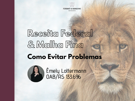 Receita Federal e Malha Fina: Como Evitar Problemas