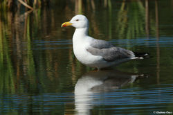 IMG_8483_ac