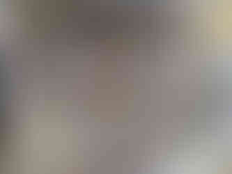 Rainforest Green marble medium tone slab by Aravali Marbles displaying natural tree-like patterns for luxury wall cladding and interiors